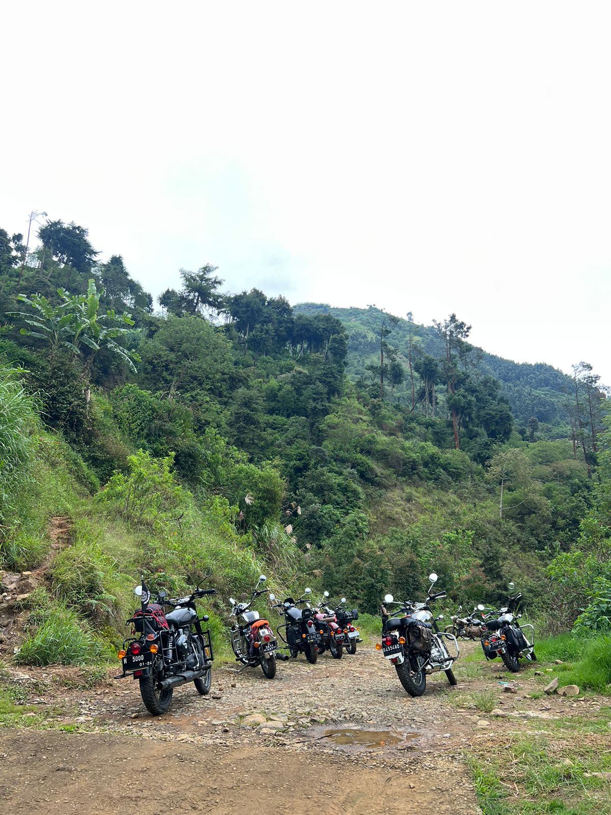 denny-caknan-meriahkan-medicophoria-fakultas-kedokteran